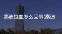 泰迪拉血怎么回事(泰迪拉血水還嘔吐怎么回事)