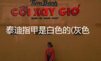 泰迪指甲是白色的(灰色泰迪和白色博美能生出啥)