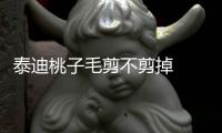 泰迪桃子毛剪不剪掉  泰迪毛剪短好不好