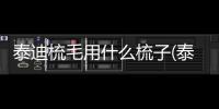 泰迪梳毛用什么梳子(泰迪怎么梳毛才蓬松)