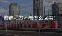 泰迪毛發不卷怎么回事(泰迪長白頭發怎么回事?)