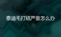 泰迪毛打結嚴重怎么辦
