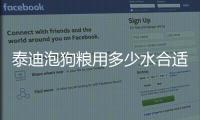 泰迪泡狗糧用多少水合適，泰迪泡狗糧用多少水最好