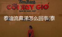 泰迪流鼻涕怎么回事(泰迪流淚是怎么回事)