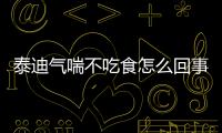 泰迪氣喘不吃食怎么回事？泰迪氣喘不吃食怎么辦