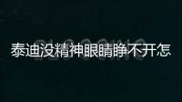 泰迪沒精神眼睛睜不開怎么回事(泰迪突然睜不開眼了)