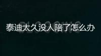 泰迪太久沒人陪了怎么辦(泰迪太久沒人陪養怎么辦)