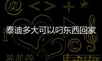 泰迪多大可以叼東西回家，泰迪多大可以自己吃東西