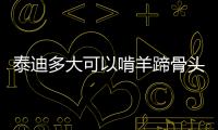 泰迪多大可以啃羊蹄骨頭，泰迪多大可以啃羊蹄子