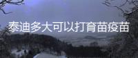 泰迪多大可以打育苗疫苗