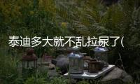 泰迪多大就不亂拉尿了(泰迪多大開始訓練是最佳時期)
