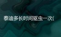 泰迪多長時間驅蟲一次(泰迪狗狗生小狗多長時間生一只)