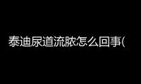 泰迪尿道流膿怎么回事(泰迪狗狗尿道紅腫,狗狗總是舔)