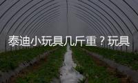 泰迪小玩具幾斤重？玩具泰迪有多重
