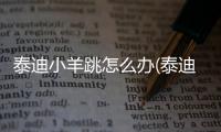 泰迪小羊跳怎么辦(泰迪跳沙發怎么辦)