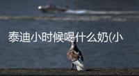 泰迪小時候喝什么奶(小泰迪小時候長什么樣子)