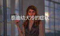 泰迪幼犬冷的癥狀