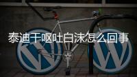 泰迪干嘔吐白沫怎么回事兒(泰迪嘔吐白沫怎么回事兒)