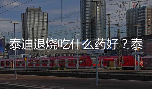 泰迪退燒吃什么藥好？泰迪狗發(fā)燒最有效的退燒辦法
