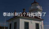 泰迪長到幾個(gè)月就定型了(泰迪長幾個(gè)月定型)