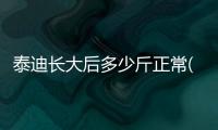 泰迪長(zhǎng)大后多少斤正常(灰泰迪長(zhǎng)大后多少斤)