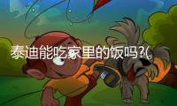 泰迪能吃家里的飯嗎?(泰迪能吃家常飯嗎)