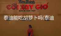 泰迪能吃胡蘿卜嗎(泰迪吃胡蘿卜要煮熟嗎)