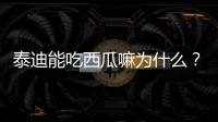 泰迪能吃西瓜嘛為什么？泰迪能吃西瓜嘛有毒嗎