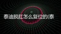 泰迪脫肛怎么復位的(泰迪脫肛是什么樣子)