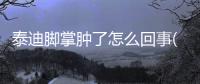 泰迪腳掌腫了怎么回事(泰迪腳掌干硬)