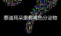 泰迪耳朵里有褐色分泌物圖片，泰迪耳朵里褐色黑色結(jié)痂