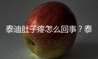 泰迪肚子疼怎么回事？泰迪肚子不舒服怎么辦