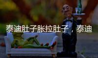泰迪肚子脹拉肚子，泰迪肚子脹 拉肚子怎么回事