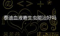 泰迪血液寄生蟲能治好嗎？泰迪血液寄生蟲