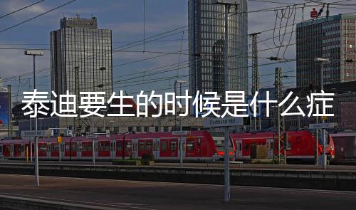 泰迪要生的時候是什么癥狀？泰迪狗狗怎么樣是生完了