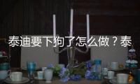泰迪要下狗了怎么做？泰迪下崽需要準(zhǔn)備什么