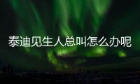 泰迪見生人總叫怎么辦呢？泰迪見生人就叫怎么辦