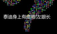 泰迪身上有痘痘(左眼長痘痘是怎么回事)