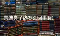 泰迪鼻子熱怎么回事啊(泰迪肚子熱怎么回事)