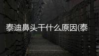 泰迪鼻頭干什么原因(泰迪皮膚病反復(fù)怎么辦)
