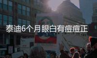 泰迪6個月眼白有痘痘正常嗎？泰迪眼上長了小疙瘩怎么回事