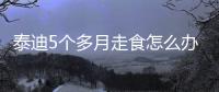 泰迪5個多月走食怎么辦？泰迪5個多月走食正常嗎