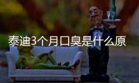 泰迪3個月口臭是什么原因引起的？三個月泰迪嘴巴臭怎么辦
