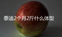 泰迪2個月2斤什么體型正常(泰迪2個月2斤能長多大)