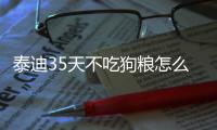 泰迪35天不吃狗糧怎么辦呢(泰迪幾天不吃狗糧了怎么回事)