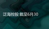泛海控股:截至6月30日暫未實施股份回購