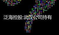 泛海控股:武漢公司持有亞太財(cái)險(xiǎn)51%股權(quán)被凍結(jié)