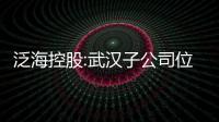 泛海控股:武漢子公司位于原漢口機場的一宗地塊將被拍賣