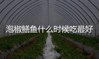泡椒鱔魚什么時候吃最好