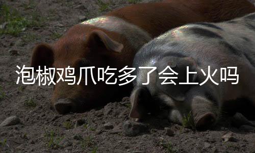 泡椒雞爪吃多了會上火嗎
